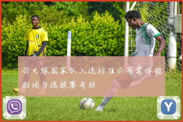 羽毛球国家队入选标准公布需体能测试与选拔赛考核
