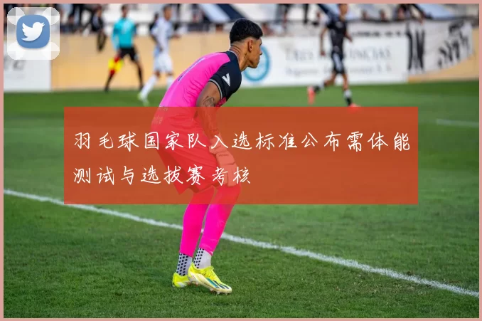 羽毛球国家队入选标准公布需体能测试与选拔赛考核