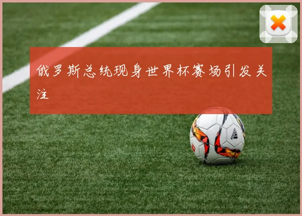 俄罗斯总统现身世界杯赛场引发关注