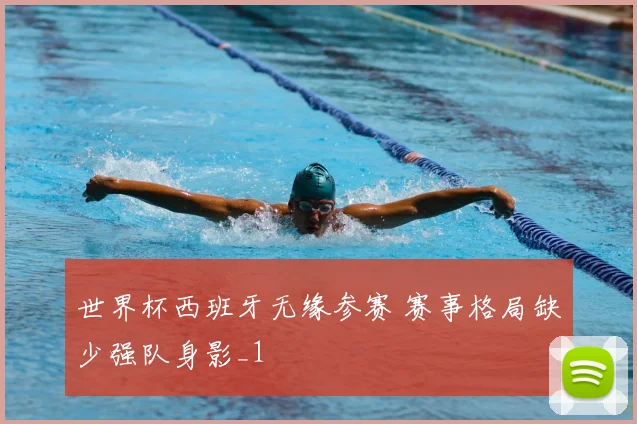 世界杯西班牙无缘参赛 赛事格局缺少强队身影_1