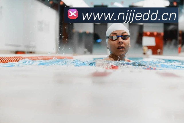 俄罗斯世界杯中国官网平台生态图